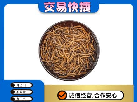 蚌埠礼品回收虫草.jpg